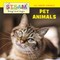 Pet Animals