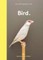 New Photography of the Bird