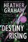 Destiny Rising
