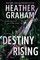 Destiny Rising