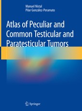 Atlas of Peculiar and Common Testicular and Paratesticular Tumors
