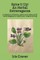 Spice it Up! An Herbal Extravaganza