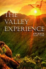 The Valley Experience