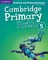 Cambridge Primary Path Level 5 Grammar and Writing Workbook