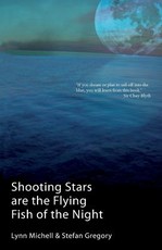 Shooting Stars Are The Flying Fish Of The Night