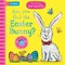 Can You Find The Easter Bunny?