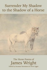 Surrender My Shadow to the Shadow of a Horse