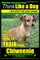 Chiweenie, Chiweenie Training AAA Akc Think Like a Dog...But Don't Eat Your Poop!