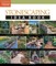 Stonescaping Idea Book