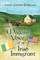 Modern Voice of an Irish Immigrant