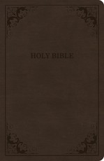 CSB Thinline Bible, Brown Leathertouch, Value Edition