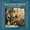 Mouse Guard: Baldwin the Brave and Other Tales