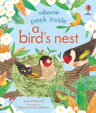 Peek Inside a Bird's Nest