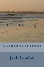 A Collection of Stories