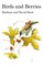 Birds and Berries