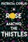 A Rose among the Thistles