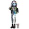 MONSTER HIGH lėlė – Frenkė (HXH73)