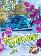 Igloos