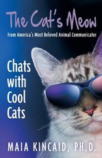 The Cat's Meow