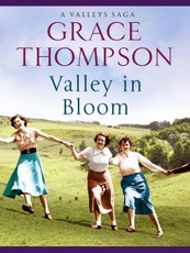 Valley in Bloom