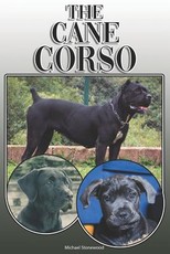 The Cane Corso