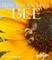Next Time You See a Bee
