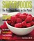 Superfoods. The Healthiest Foods on the Planet