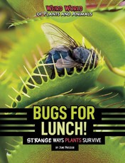 Bugs for Lunch!