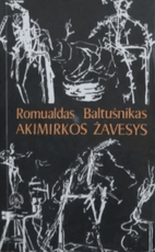 Akimirkos žavesys