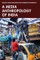 A Media Anthropology of India