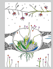 Magiškoji užrašinė: įsiklausyki į svajų spalvas