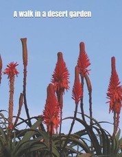 A walk in a desert garden