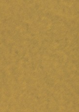 Popier.A4 CA120g. Gold 408317