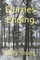 Flurries Ending