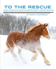To the Rescue