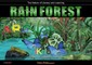 Rain Forest