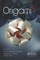 Origami 5