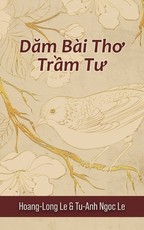Dăm BÃ i Thơ Trầm Tư (Contemplative Poems)