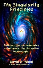 The Singularity Principles