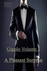 Gigolo Volume 2 A Pleasant Surprise