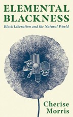 Elemental Blackness