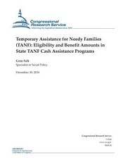 Temporary Assistance for Needy Families (TANF)