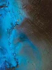 Kube, T: Sensibilities