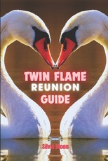 Twin Flame Reunion