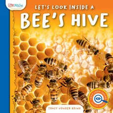 Let's Look Inside a Bee's Hive