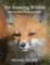 The Amazing Wildlife in the Prince Albert National Park