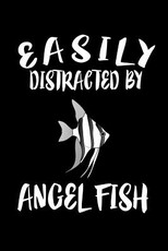 Easily Distracted By Angel Fish