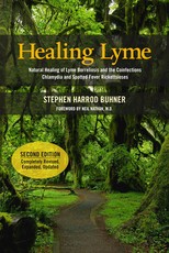 Healing Lyme