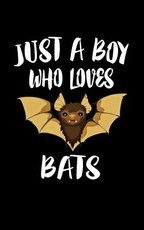 Just A Boy Who Loves Bats