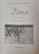 Žinia